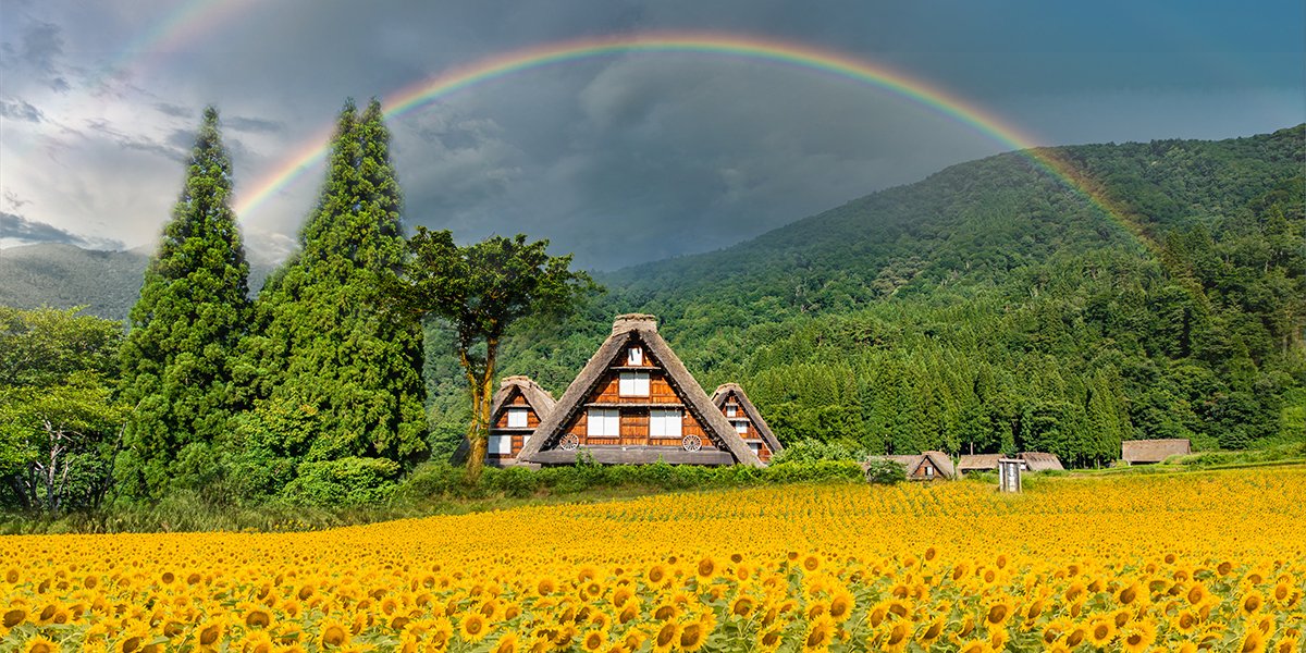 A house in the field of sunflowers with a rainbow above