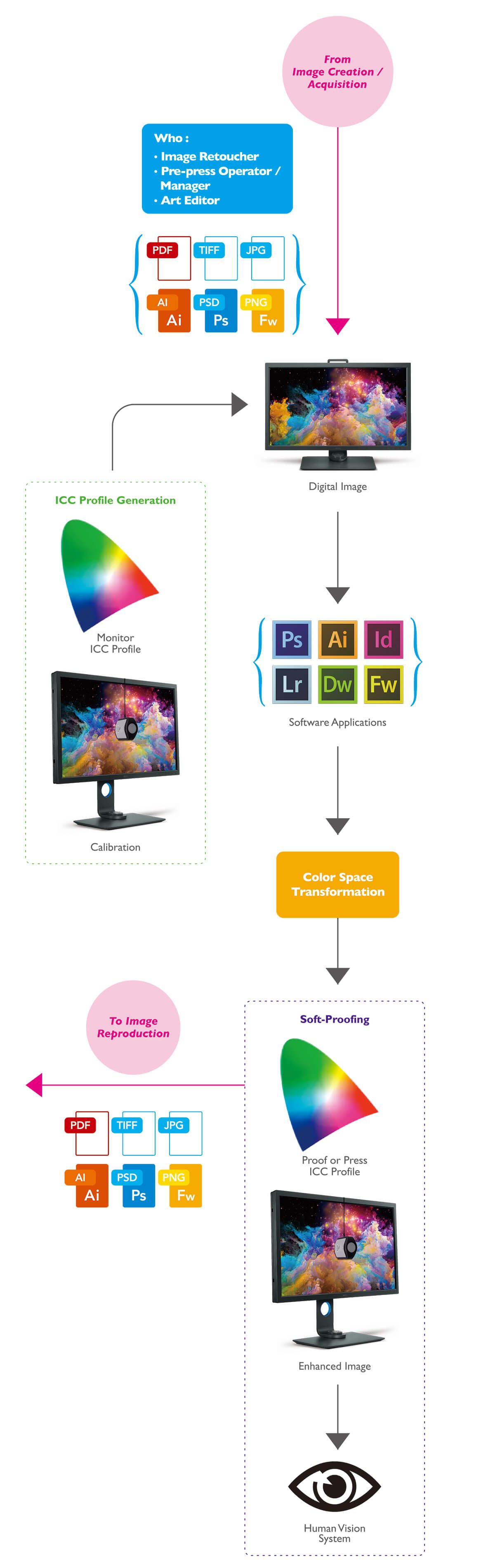 Quy trình quản lý màu sắc điển hình để tăng cường hình ảnh.