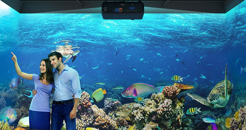  aquarium projected by BenQ's professional installation projectors